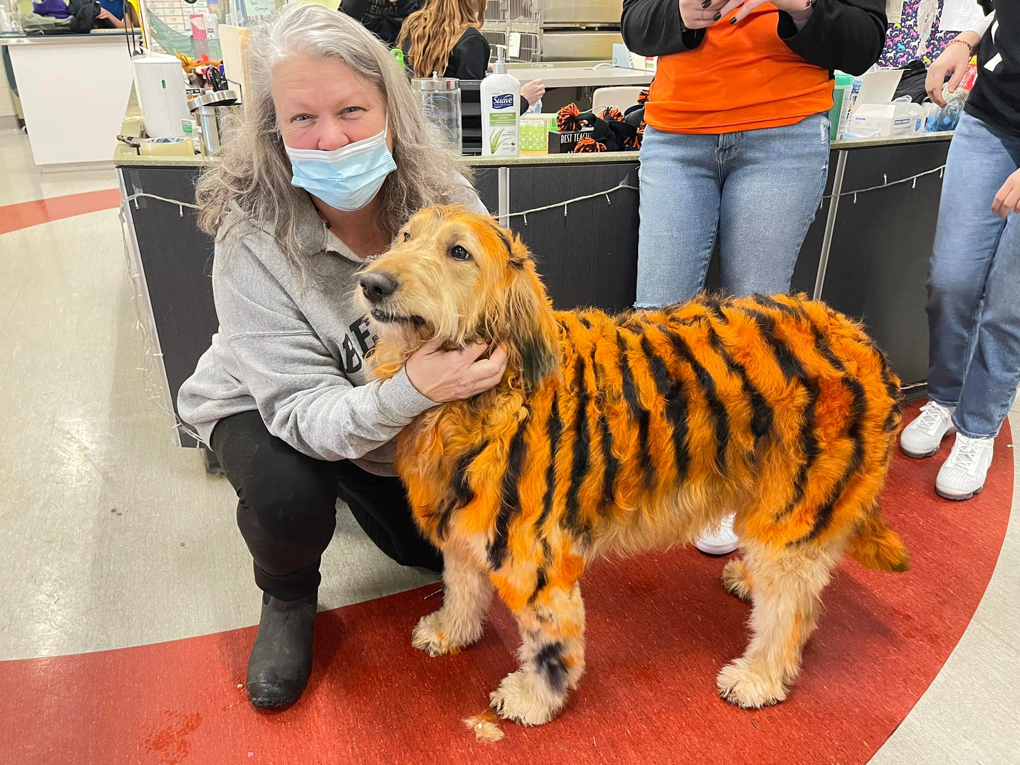 Groomed Pet 6